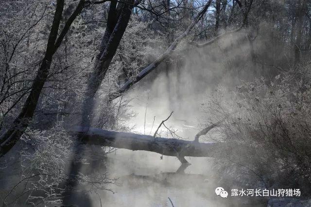 移动的滚轮