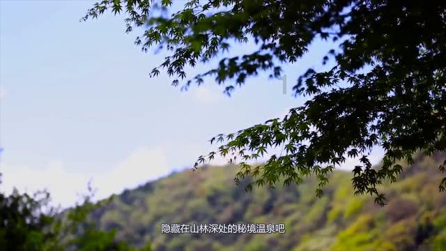 幽灵猎人2